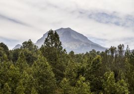 Lais Puzzle - La Malinche National Park Tlaxcala, Mexiko - 500 & 1.000 Teile