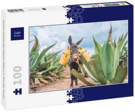 Lais Puzzle - Schöner Esel bei den Maguey-Feldern in Tlaxcala, Mexiko - 100 Teile