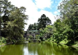 Lais Puzzle - Los Lagos, Xalapa Veracruz, Mexiko - 500 & 1.000 Teile