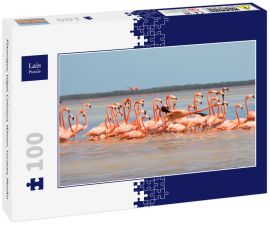 Lais Puzzle - Flamingos, Vögel, Celestun, Wasser, Yucatan, Mexiko - 100 Teile