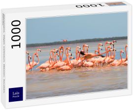 Lais Puzzle - Flamingos, Vögel, Celestun, Wasser, Yucatan, Mexiko - 1.000 Teile