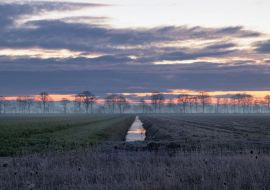 Lais Puzzle - Sonnenaufgang Ter Apel Westerwolde Niederlande - 500 & 1.000 Teile