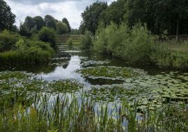 Lais Puzzle - Festung Bourtange - Festungsgraben Niederlande - 500 & 1.000 Teile