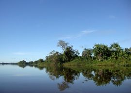 Lais Puzzle - Naturlandschaft an den Ufern des Gurupi-Flusses, der die brasilianischen Bundesstaaten Para und Maranhao trennt - 500 & 1.000 Teile