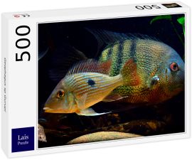 Lais Puzzle - Geophagus sp Gurupi - 500 Teile