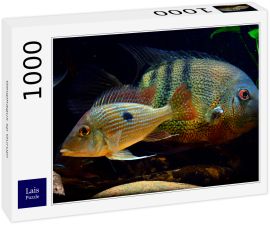 Lais Puzzle - Geophagus sp Gurupi - 1.000 Teile