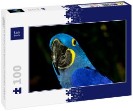 Lais Puzzle - Hyazinth-Ara (Anodorhynchus hyacinthinus) mit lebhaftem, tiefblauem Gefieder - 100 Teile