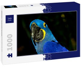 Lais Puzzle - Hyazinth-Ara (Anodorhynchus hyacinthinus) mit lebhaftem, tiefblauem Gefieder - 1.000 Teile