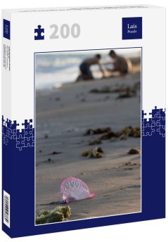 Lais Puzzle - Hafen von Loss / Alagoas / Brasilien. Blick auf die Stadt Porto de Pedras und den Strand Patacho im Frühsommer. - 200 Teile