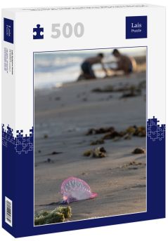 Lais Puzzle - Hafen von Loss / Alagoas / Brasilien. Blick auf die Stadt Porto de Pedras und den Strand Patacho im Frühsommer. - 500 Teile