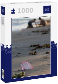 Lais Puzzle - Hafen von Loss / Alagoas / Brasilien. Blick auf die Stadt Porto de Pedras und den Strand Patacho im Frühsommer. - 1.000 Teile