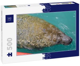 Lais Puzzle - Seekuh am Praia da Laje (Strand der Platte) in Porto de Pedras, Alagoas, Brasilien - 500 Teile