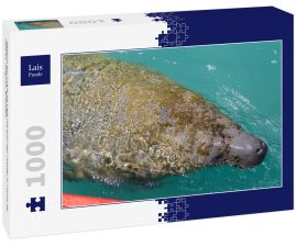 Lais Puzzle - Seekuh am Praia da Laje (Strand der Platte) in Porto de Pedras, Alagoas, Brasilien - 1.000 Teile