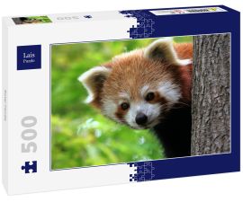 Lais Puzzle - Roter Panda - 500 Teile