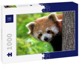 Lais Puzzle - Roter Panda - 1.000 Teile