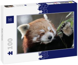 Lais Puzzle - Roter Panda - 100 Teile