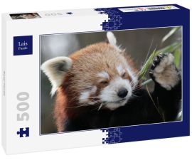 Lais Puzzle - Roter Panda - 500 Teile