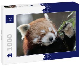 Lais Puzzle - Roter Panda - 1.000 Teile