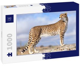 Lais Puzzle - Gepard - 1.000 Teile