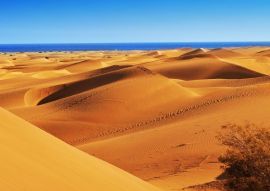 Lais Puzzle - Naturreservat der Dünen von Maspalomas, auf Gran Canaria, Spanien - 500 & 1.000 Teile