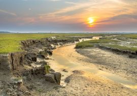 Lais Puzzle - Gezeitenkanal Sumpfgebiet Ameland - 500 & 1.000 Teile