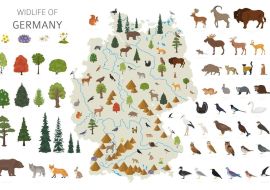 Lais Puzzle - Deutschlands Tierleben - 500 & 1.000 Teile
