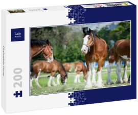 Lais Puzzle - Clydesdale Horse - 200 Teile