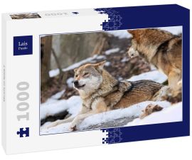 Lais Puzzle - 2 Wölfe im Schnee - 1.000 Teile