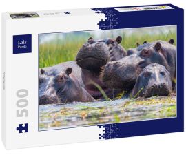 Lais Puzzle - Nilpferde - 500 Teile