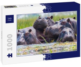 Lais Puzzle - Nilpferde - 1.000 Teile