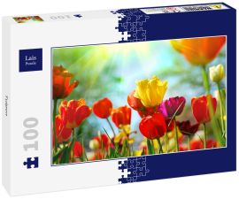 Lais Puzzle - Tulpen - 100 Teile