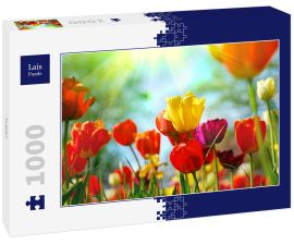 Lais Puzzle - Tulpen - 1.000 Teile