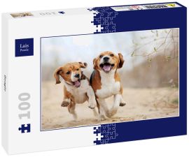 Lais Puzzle - Beagle - 100 Teile