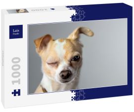Lais Puzzle - Chihuahua - 1.000 Teile
