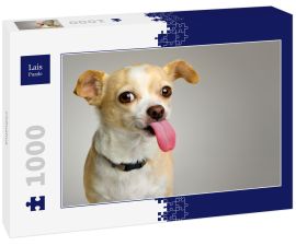 Lais Puzzle - Chihuahua - 1.000 Teile