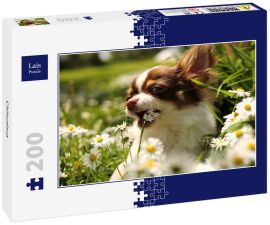 Lais Puzzle - Chihuahua - 200 Teile