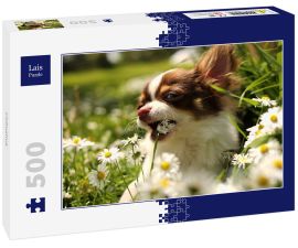Lais Puzzle - Chihuahua - 500 Teile