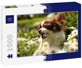 Lais Puzzle - Chihuahua - 1.000 Teile