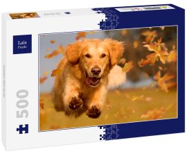 Lais Puzzle - Golden Retriever - 500 Teile