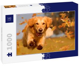 Lais Puzzle - Golden Retriever - 1.000 Teile
