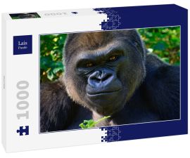 Lais Puzzle - Gorilla - 1.000 Teile