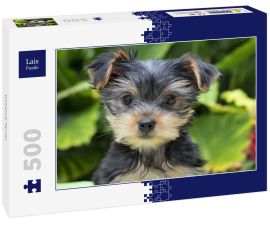 Lais Puzzle - Yorkshire Terrier - 500 Teile