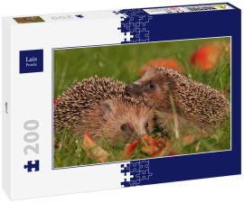 Lais Puzzle - Igel - 200 Teile