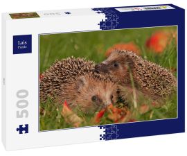 Lais Puzzle - Igel - 500 Teile