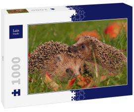 Lais Puzzle - Igel - 1.000 Teile
