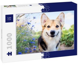 Lais Puzzle - Welsh Corgi - 1.000 Teile