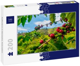 Lais Puzzle - Kaffeefarm in Manizales, Kolumbien - 200 Teile