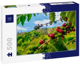 Lais Puzzle - Kaffeefarm in Manizales, Kolumbien - 500 Teile