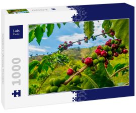 Lais Puzzle - Kaffeefarm in Manizales, Kolumbien - 1.000 Teile
