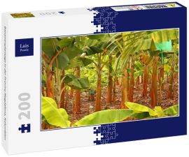 Lais Puzzle - Bananenplantage in der Provinz Magdalena, Kolumbien - 200 Teile